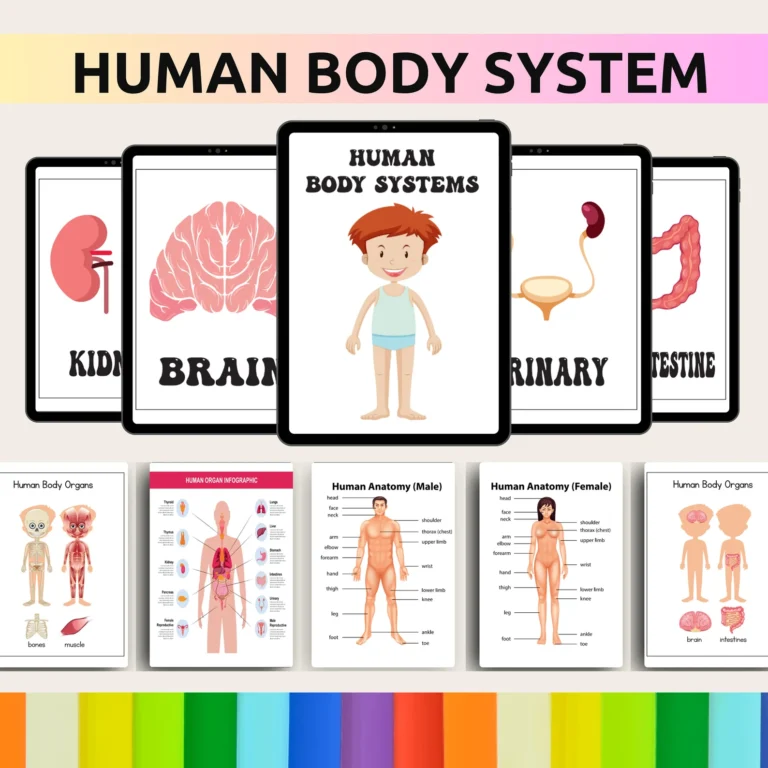 il_1588xN.5833602495_fti0-768x768